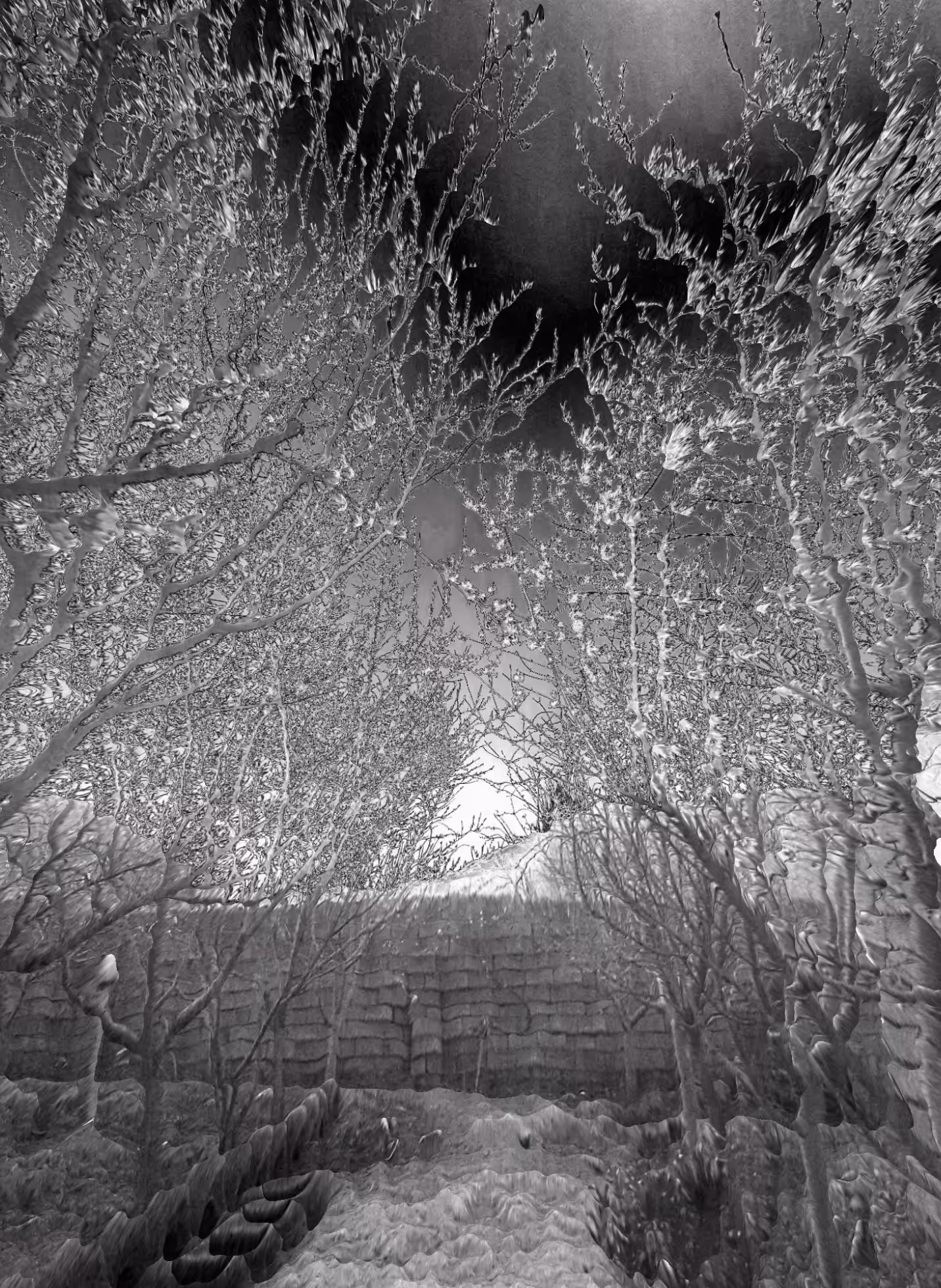 B&W Garden