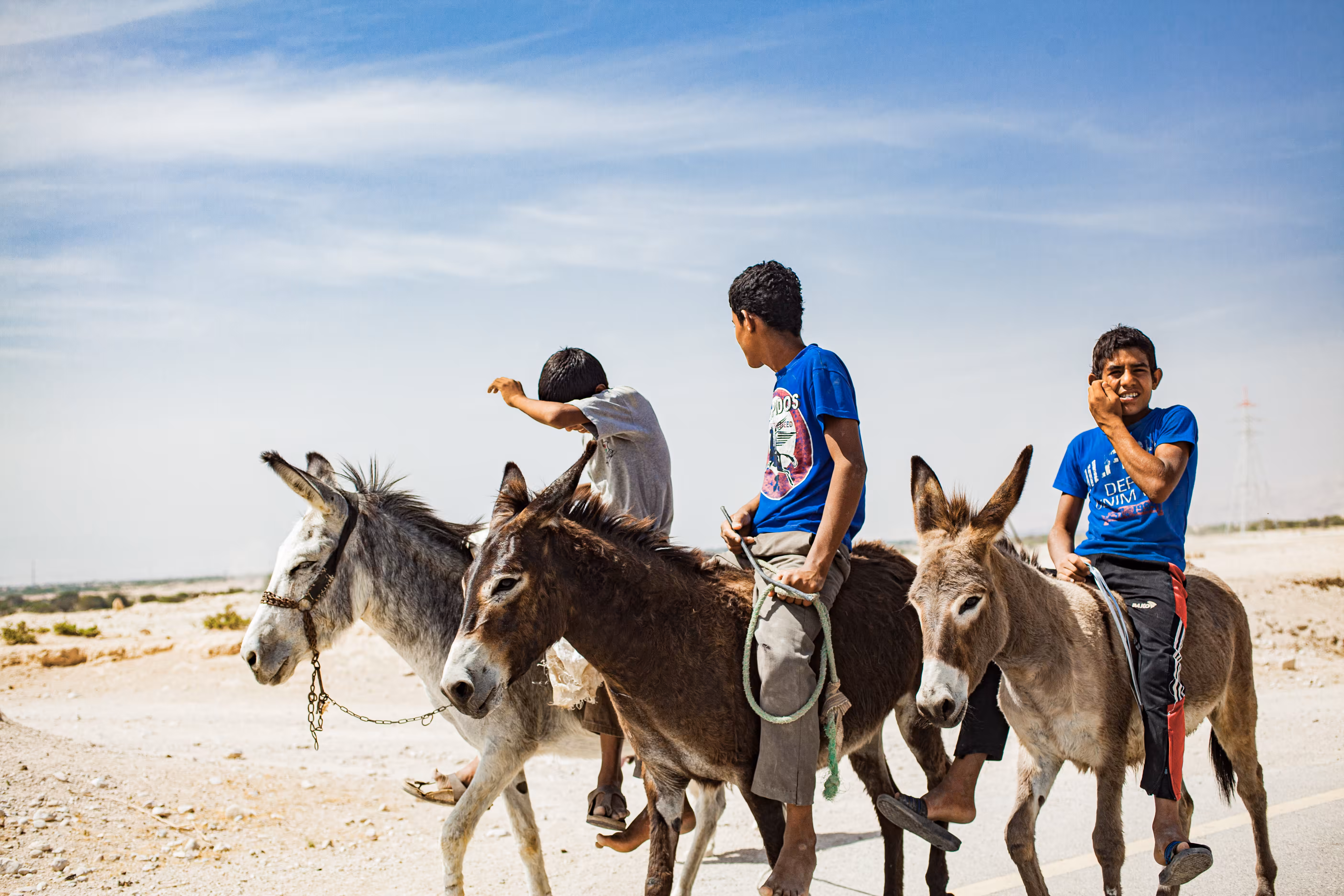 3 guys on 3 donkeys