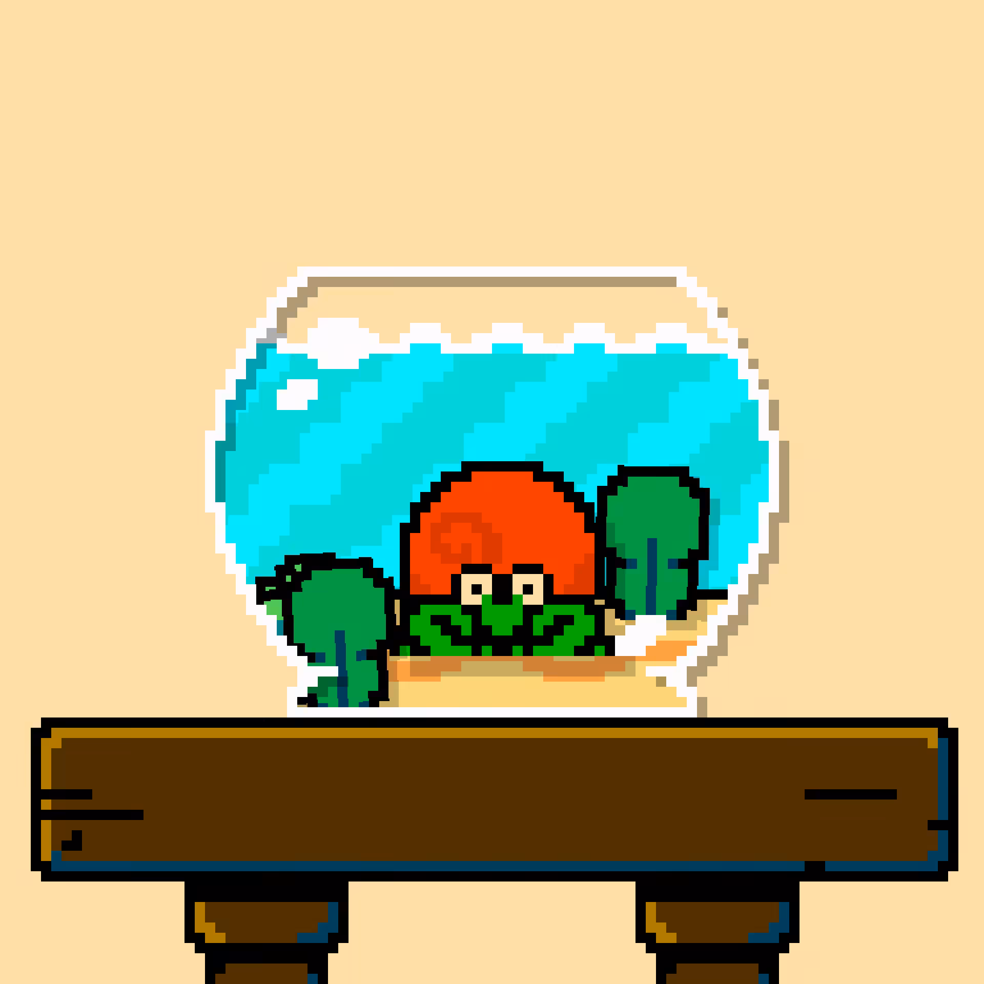 hermit crab #182