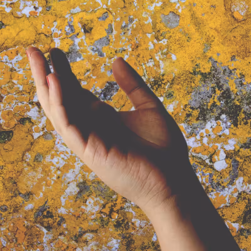 Take my hand #2