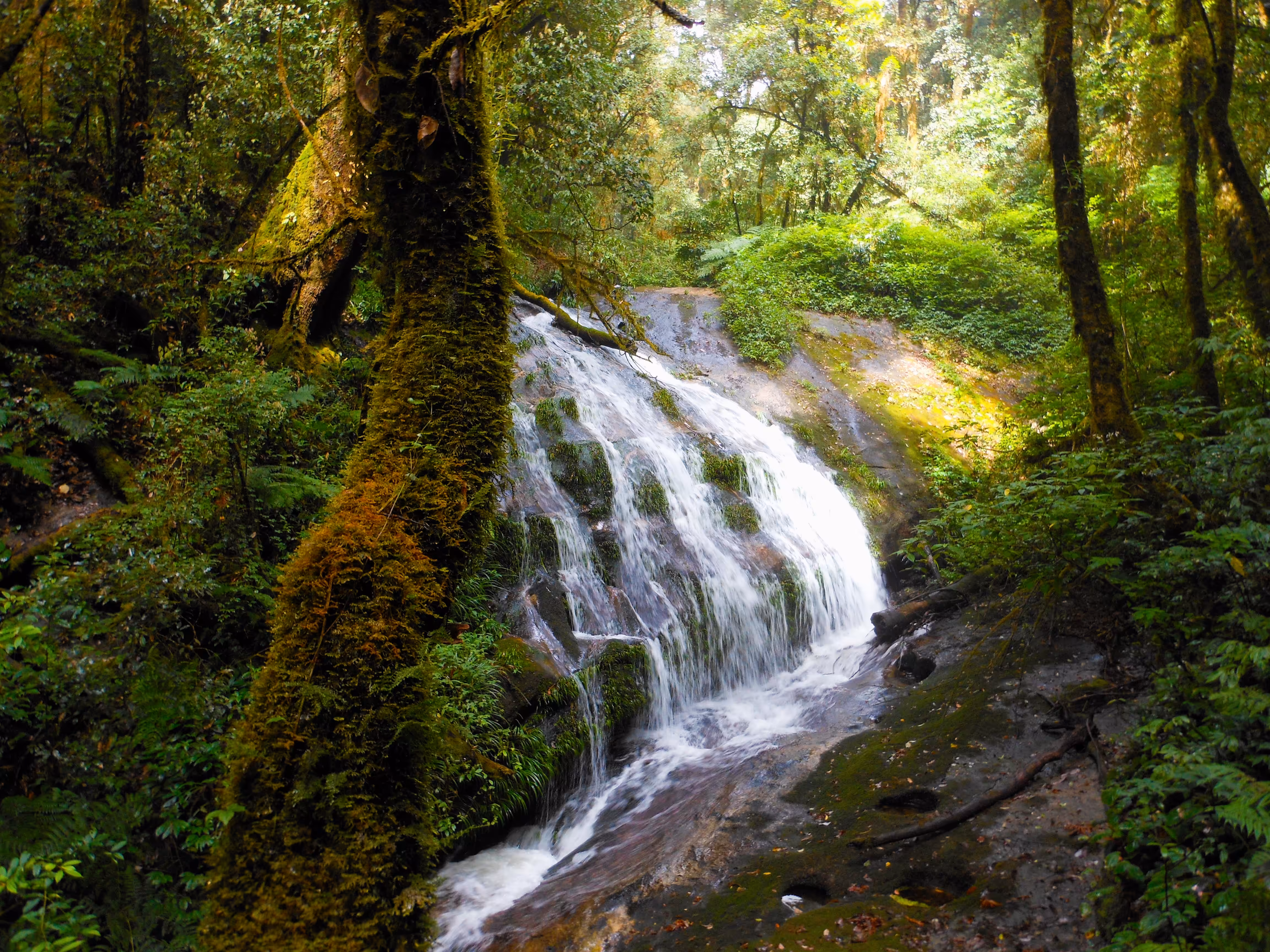 Waterfall