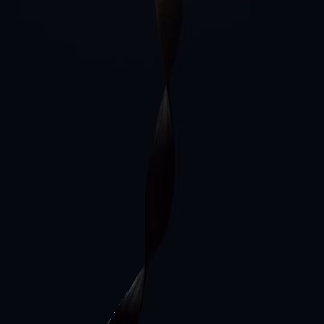 I Tried to Catch a Comet