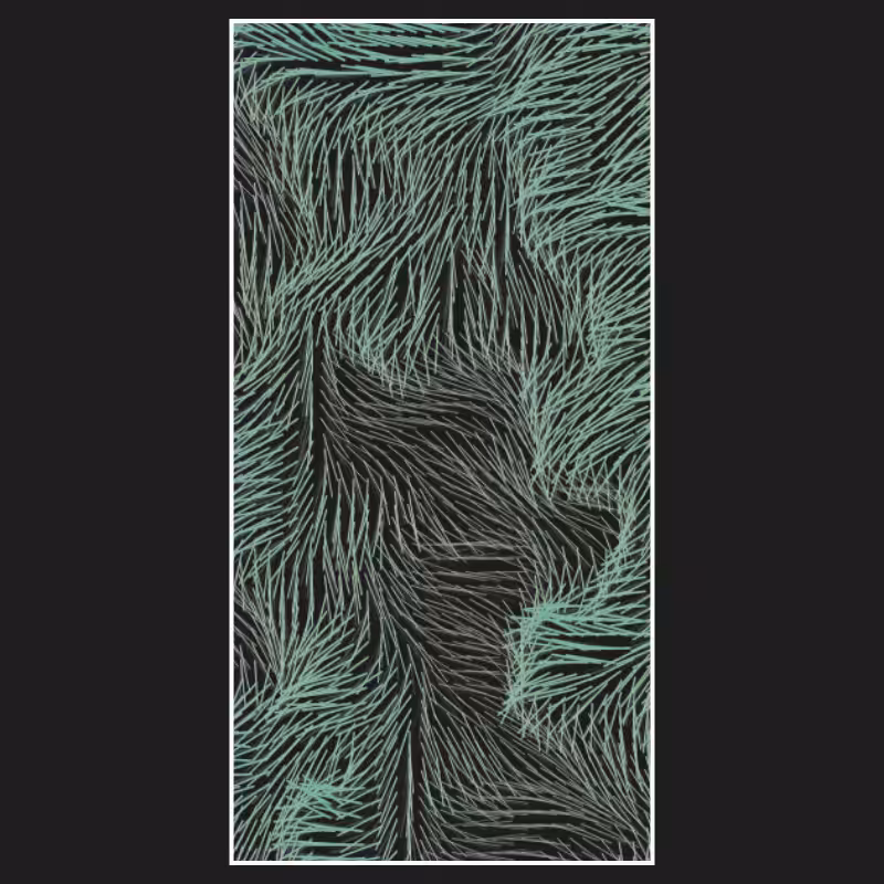 "String" Theory #2