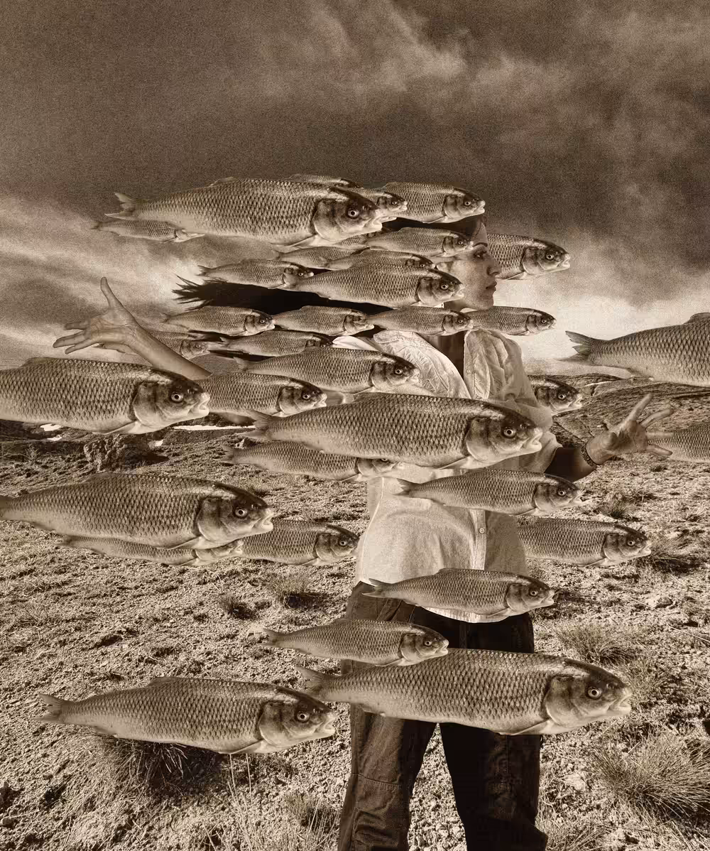 Before The Creation | From In search Of Illusion | 2009