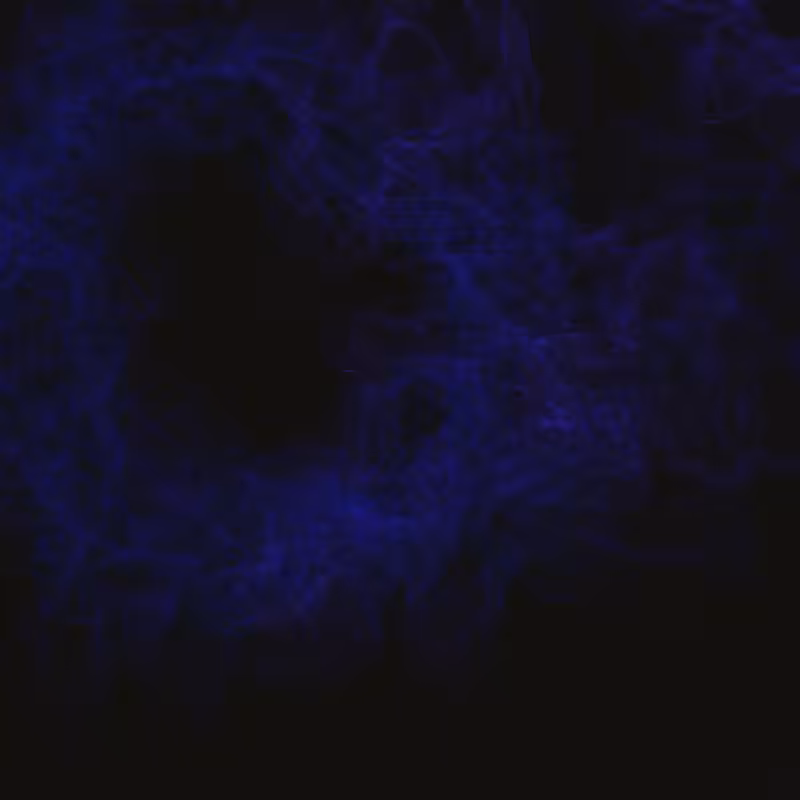 Meander Nebulae #21