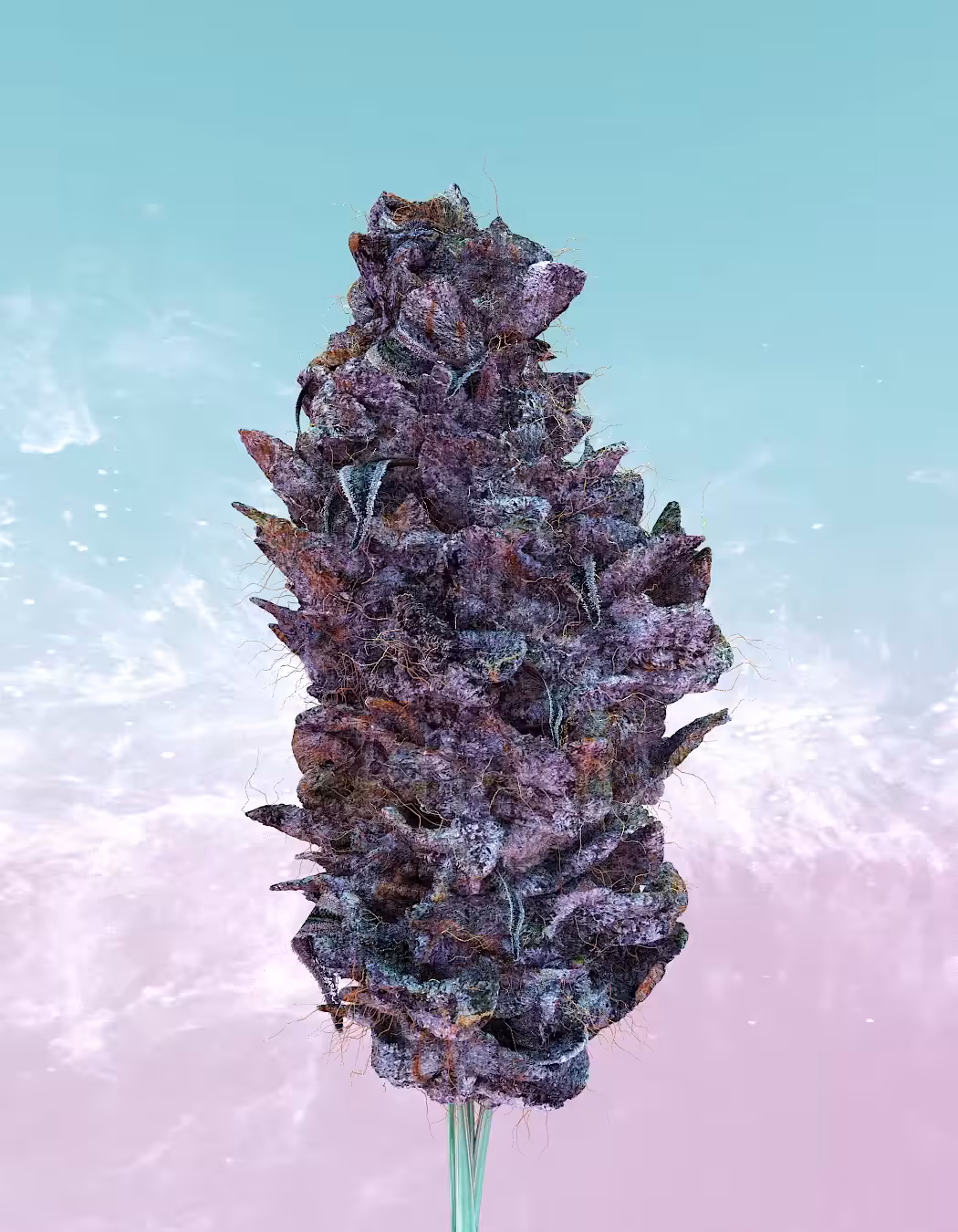 ETH-13
