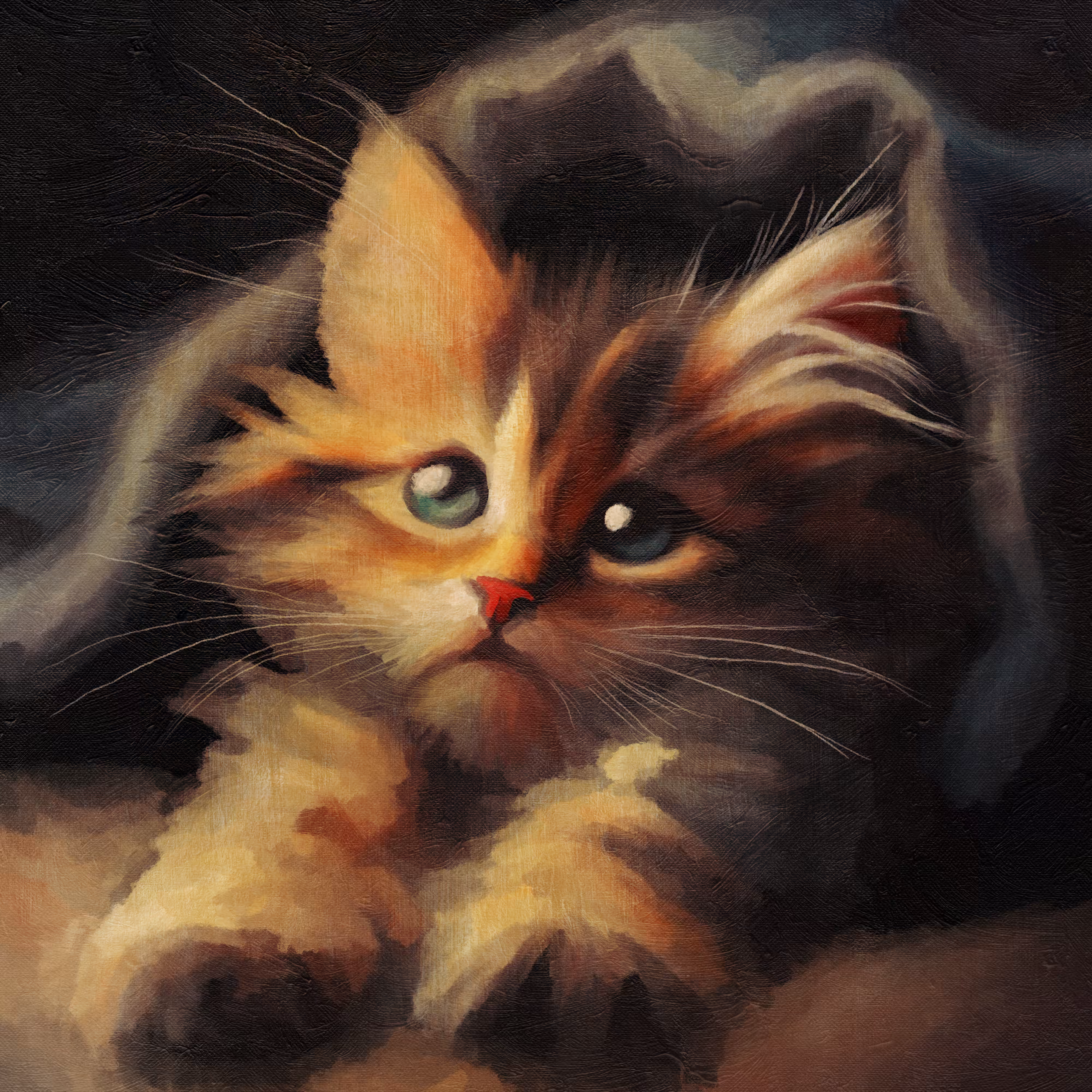 felis catus