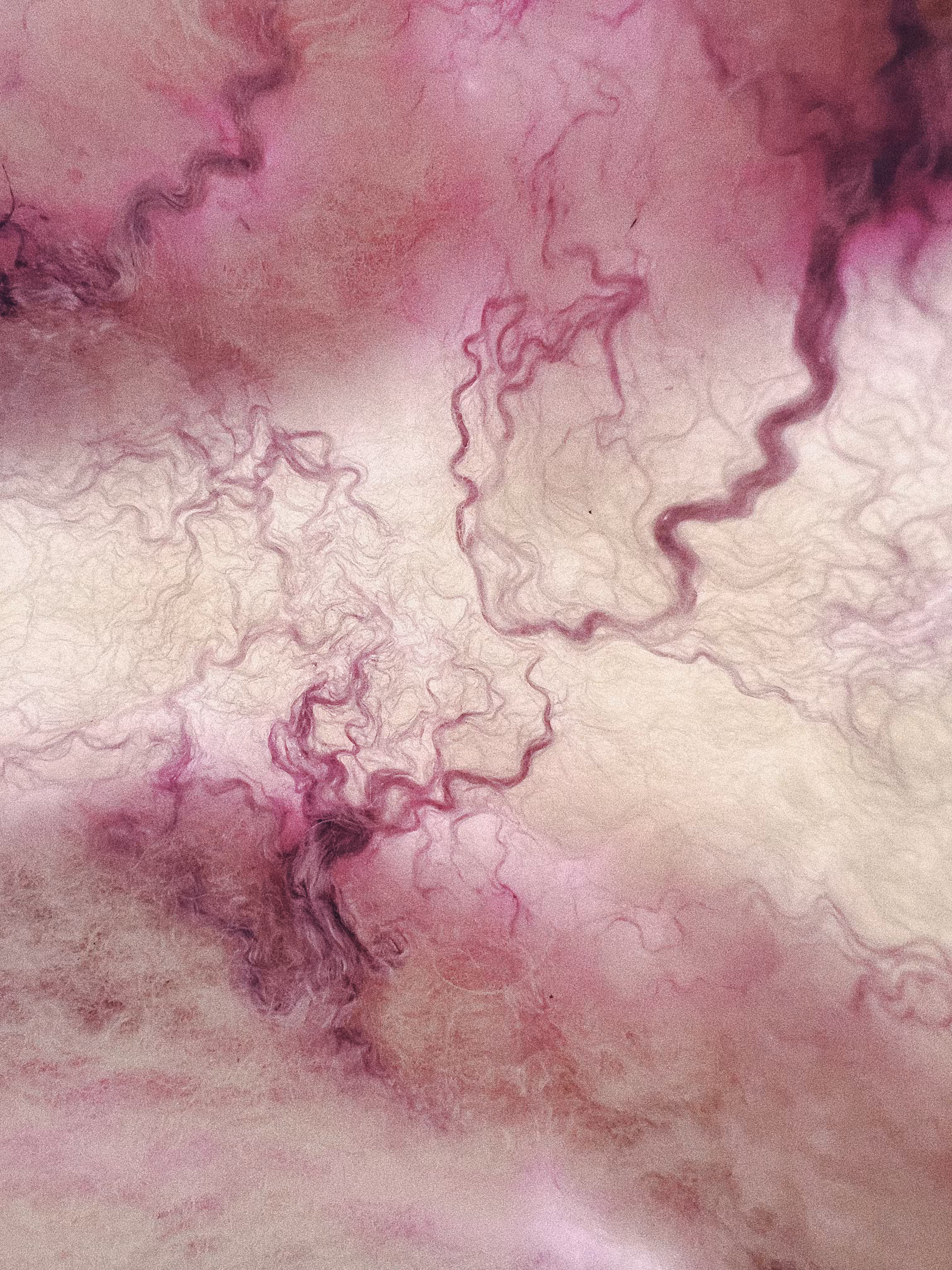soft petals on their journey to decay 
