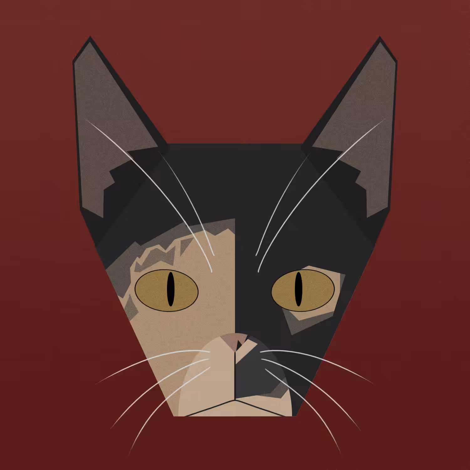 extra kitty! - Cacau