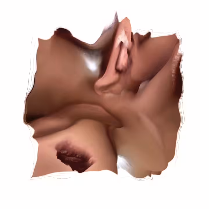 seX dreamers