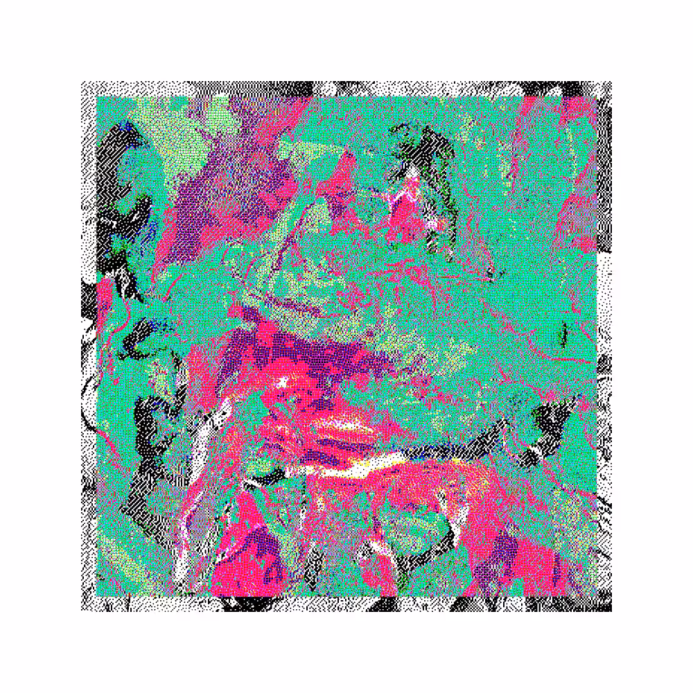 CHX-1 #19