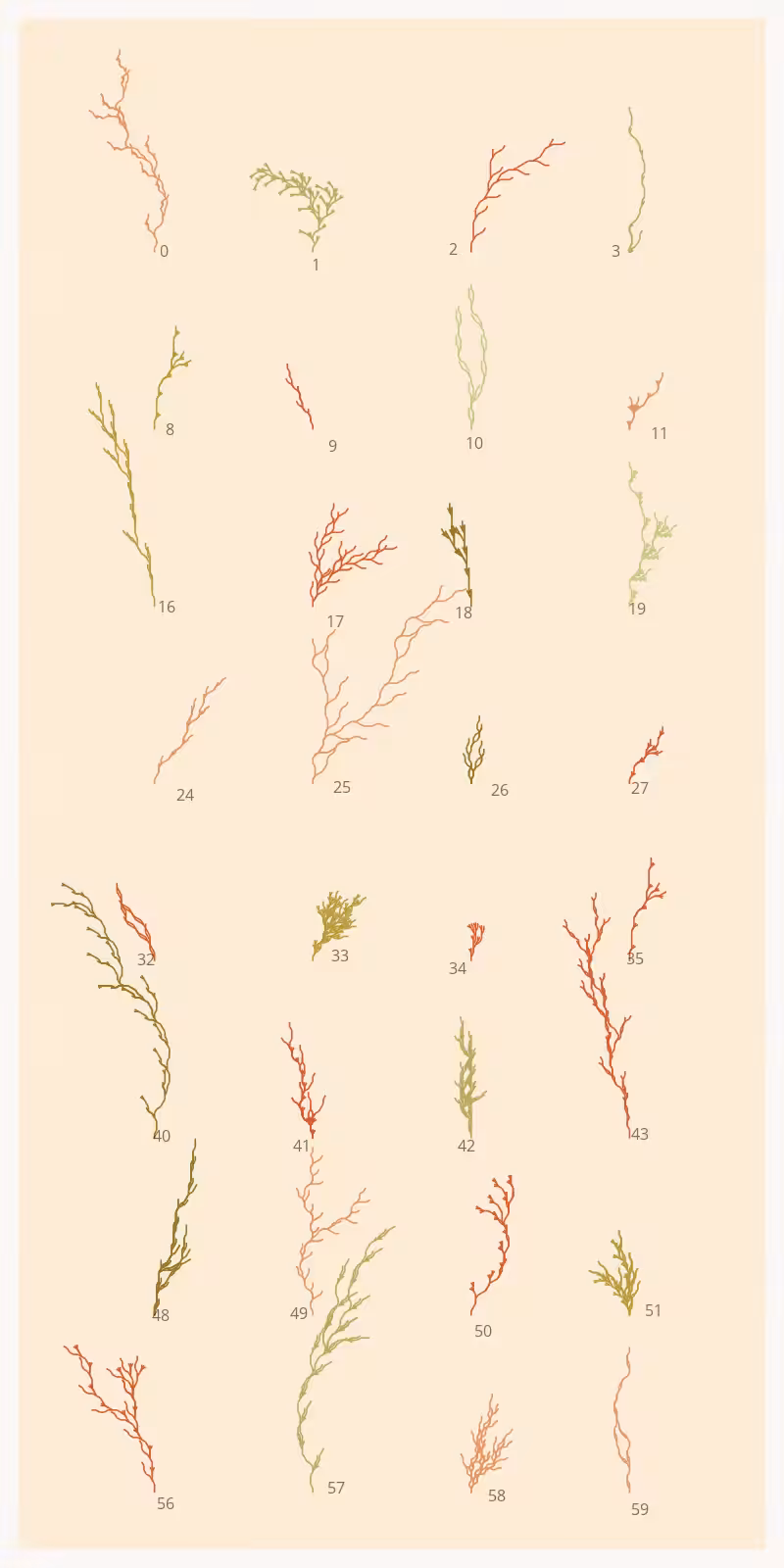 Seaweed Study #3