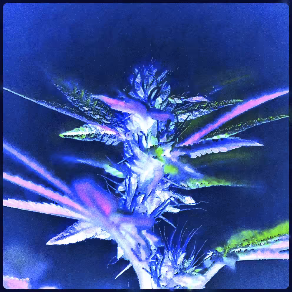 Cannabis (Flower)