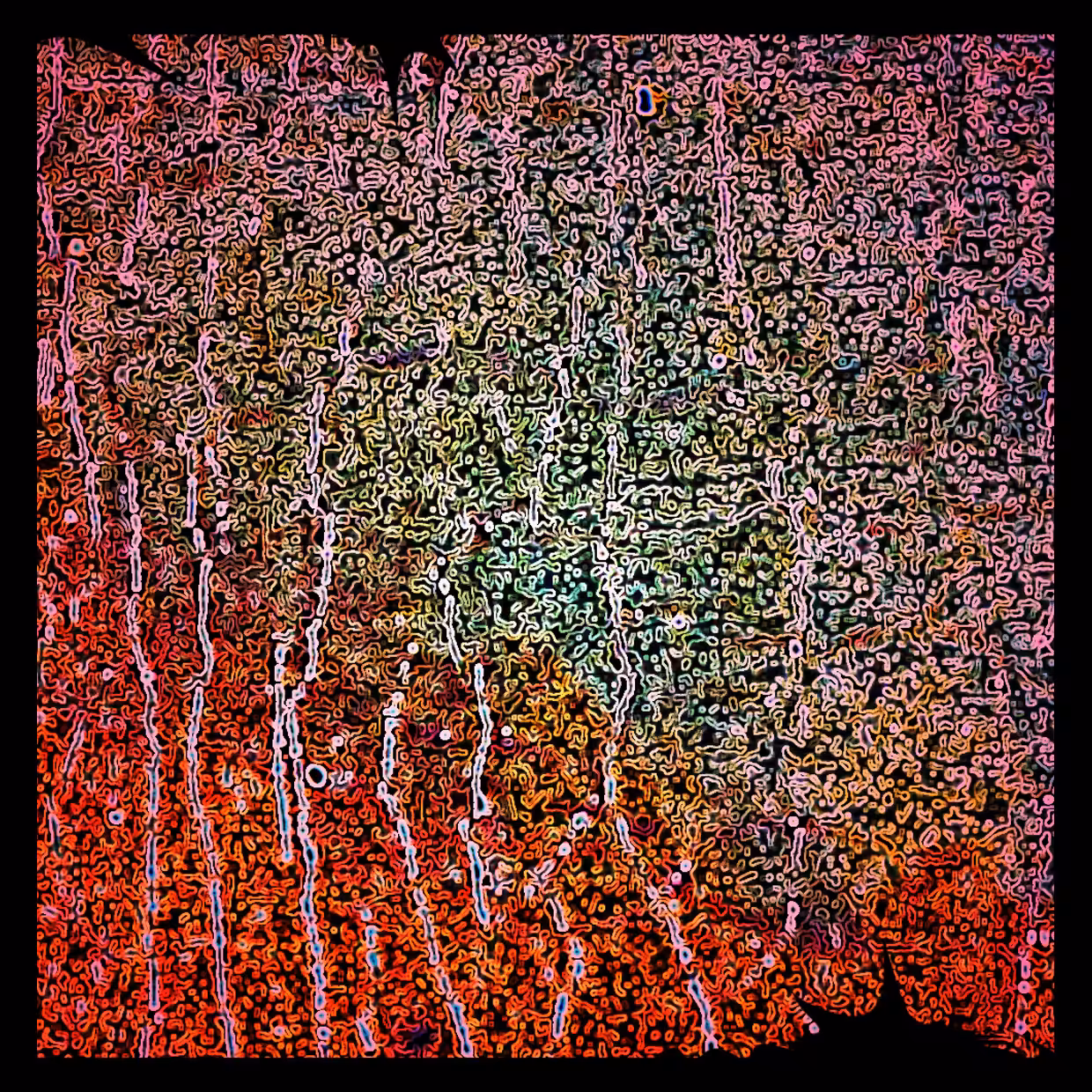 Cell 13