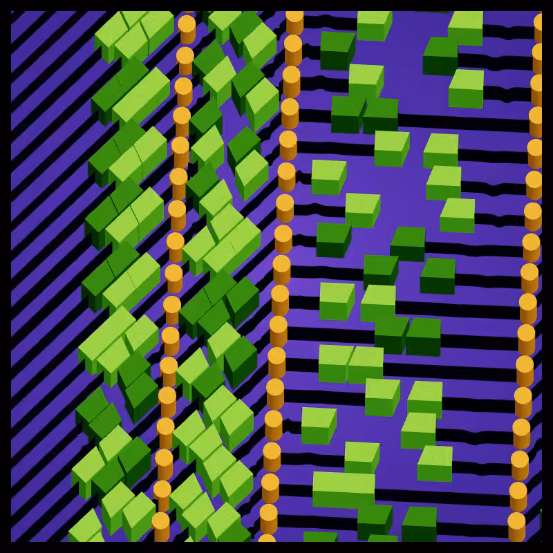 Neural Collapse #256