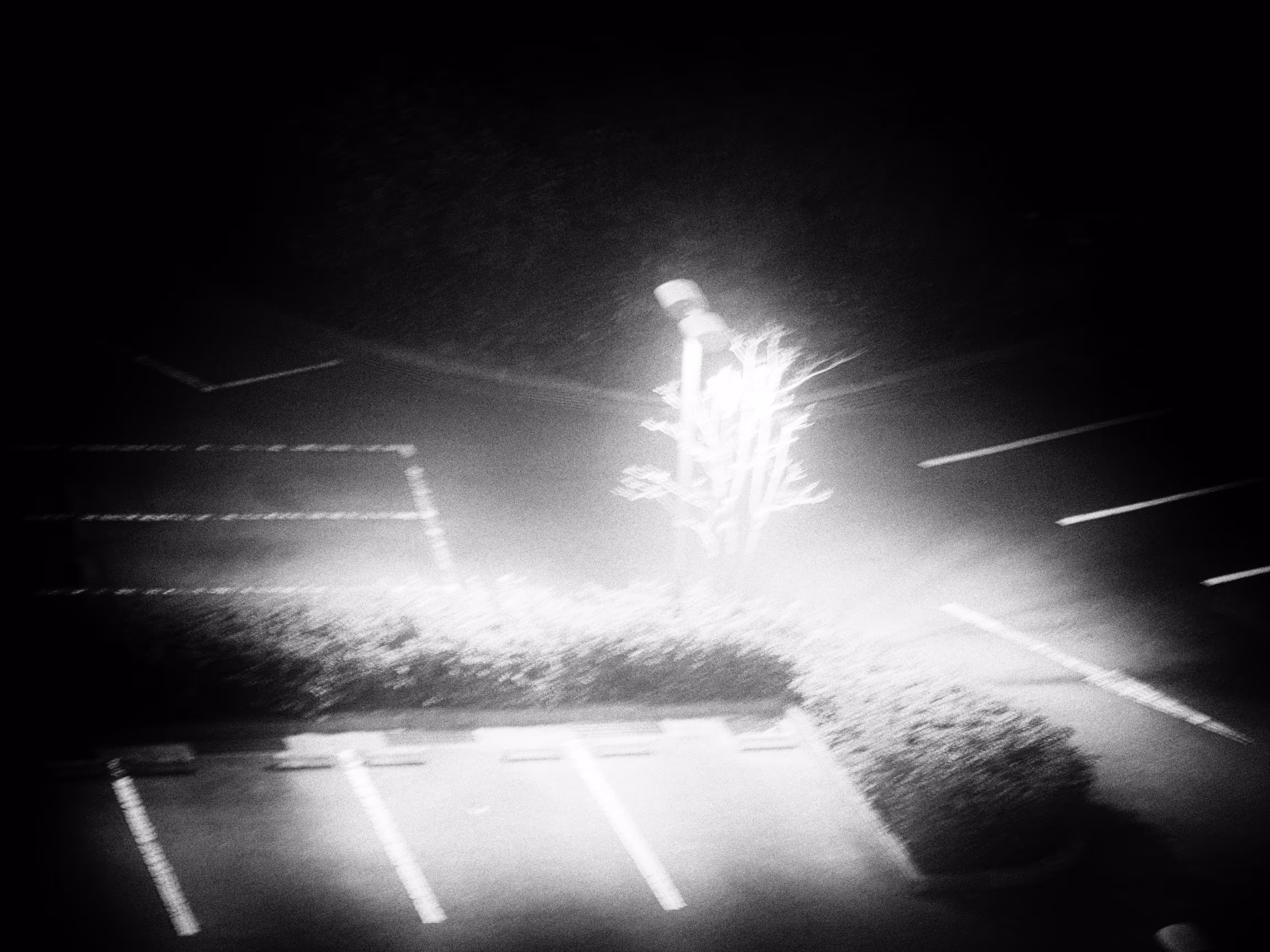 Night of Life