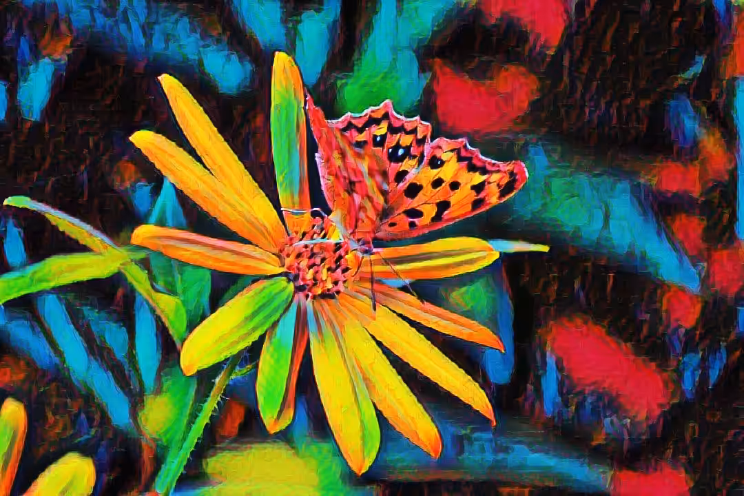 Camouflage