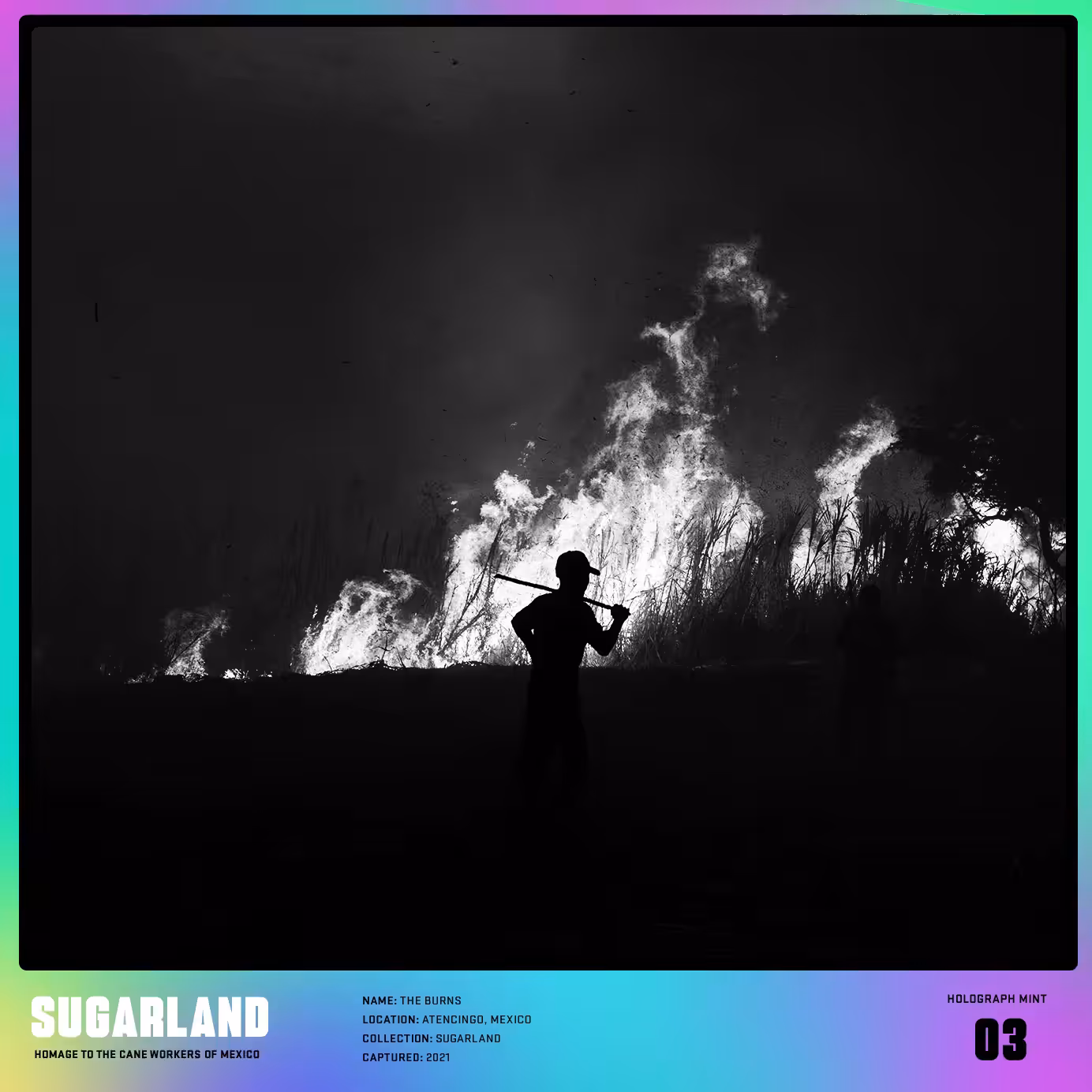 SUGARLAND #3 THE BURNS