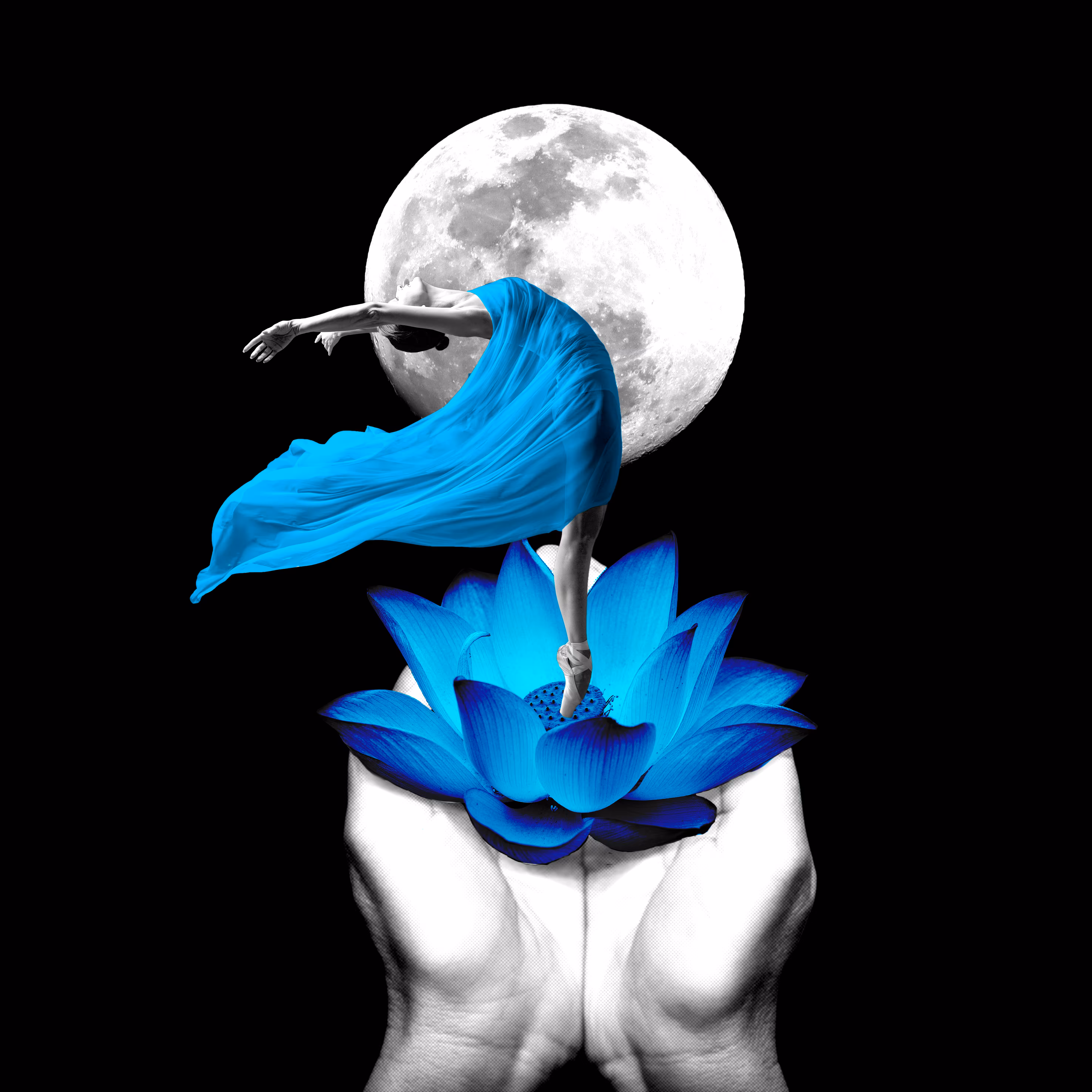 dancing bloom in the dark