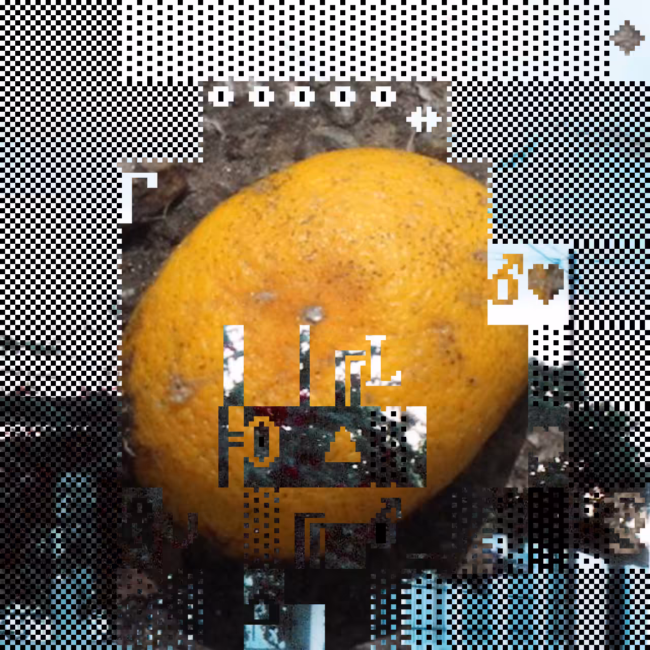 PhotoDOSpunk #23