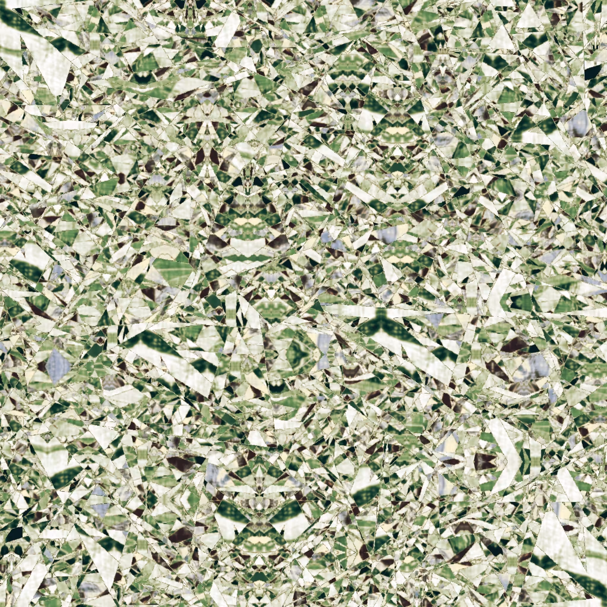 cabbage chopped by MACHINE