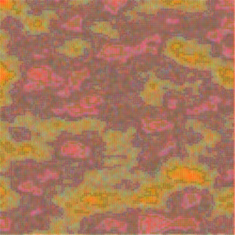 Petri 1500 #433