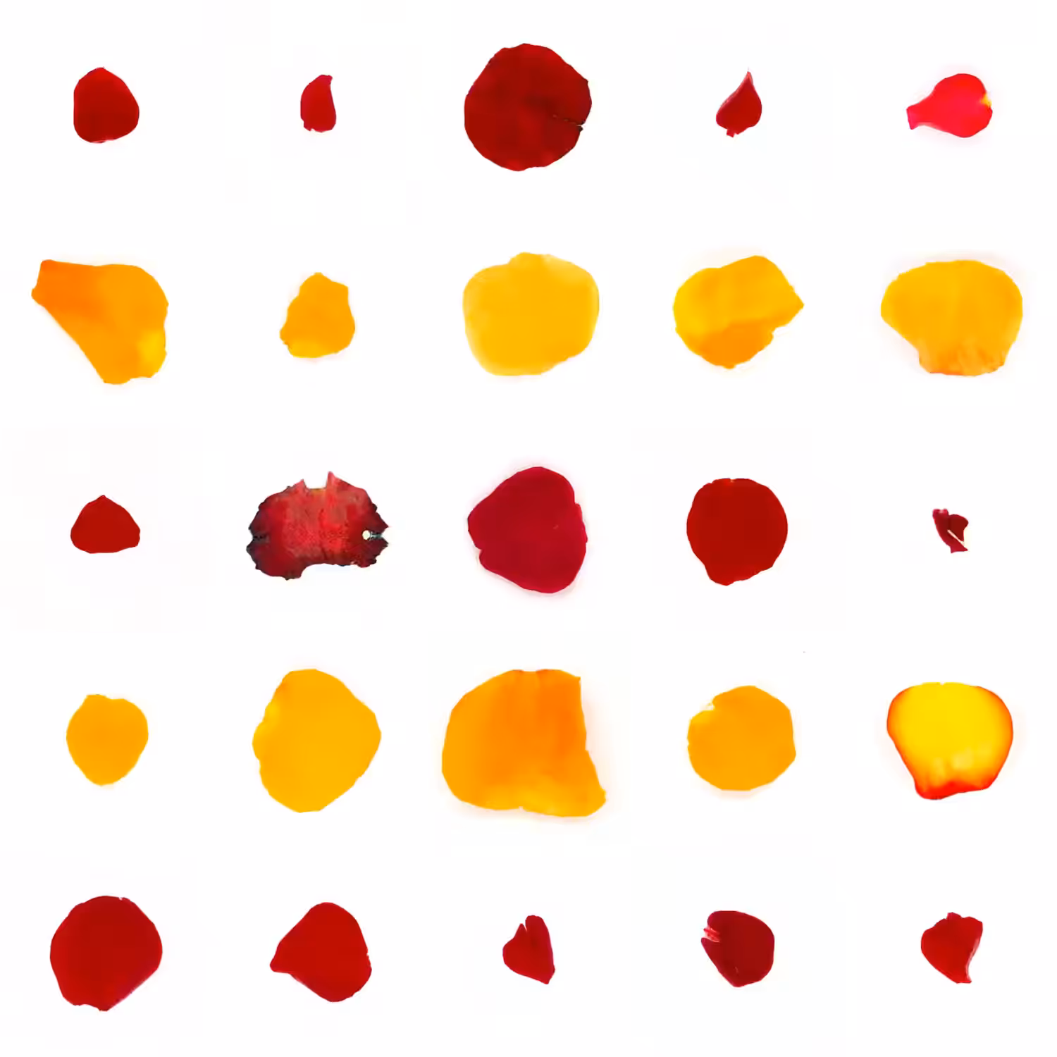 Infinite Petals 5x5#2690