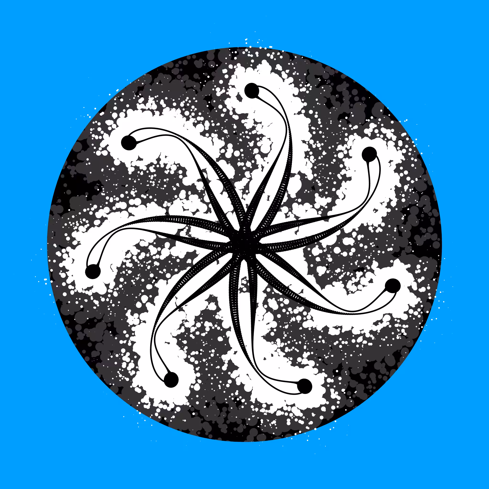 EPIHYPERDERPFLARDIOIDS #280