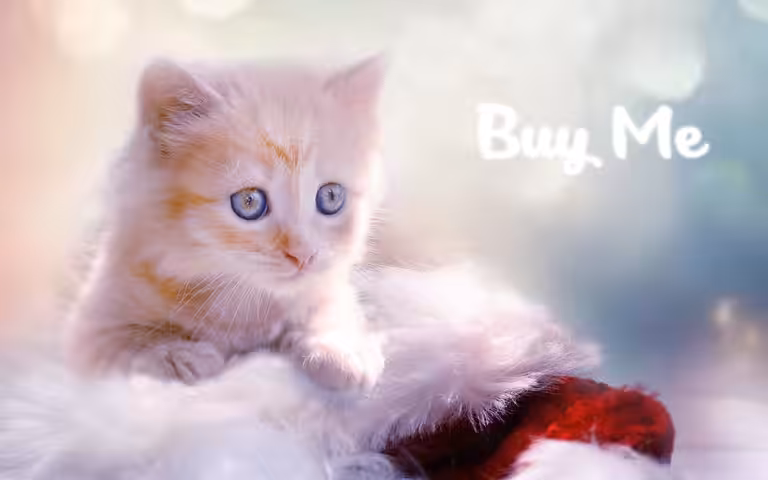 BUY ME #4