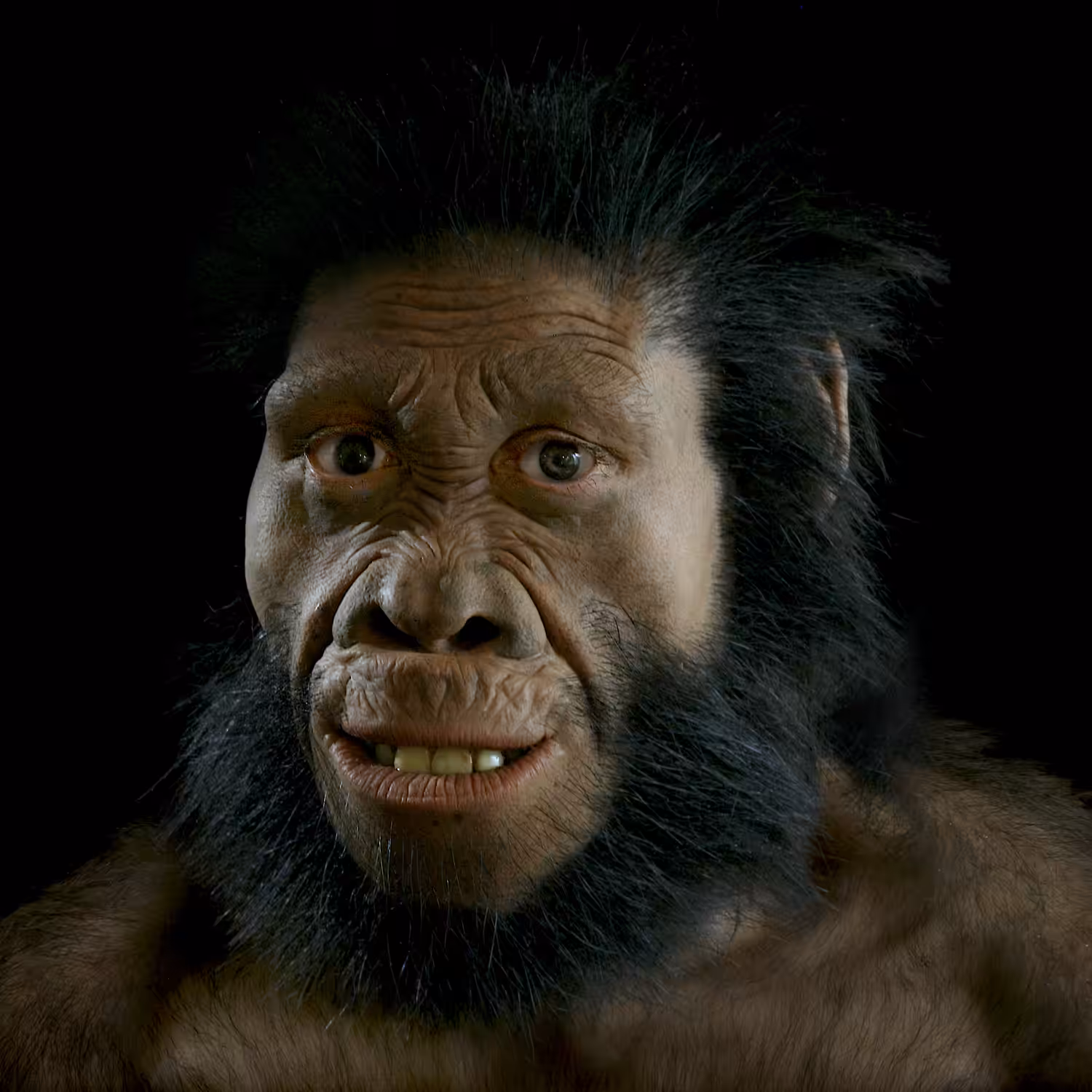 Australopithecus sediba: Hominin #7