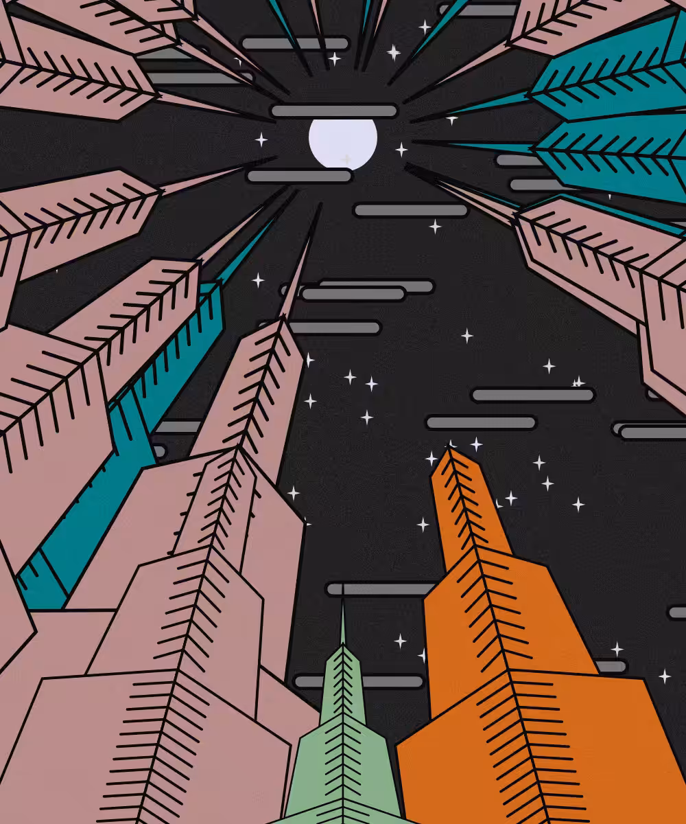 SKYisUP #13