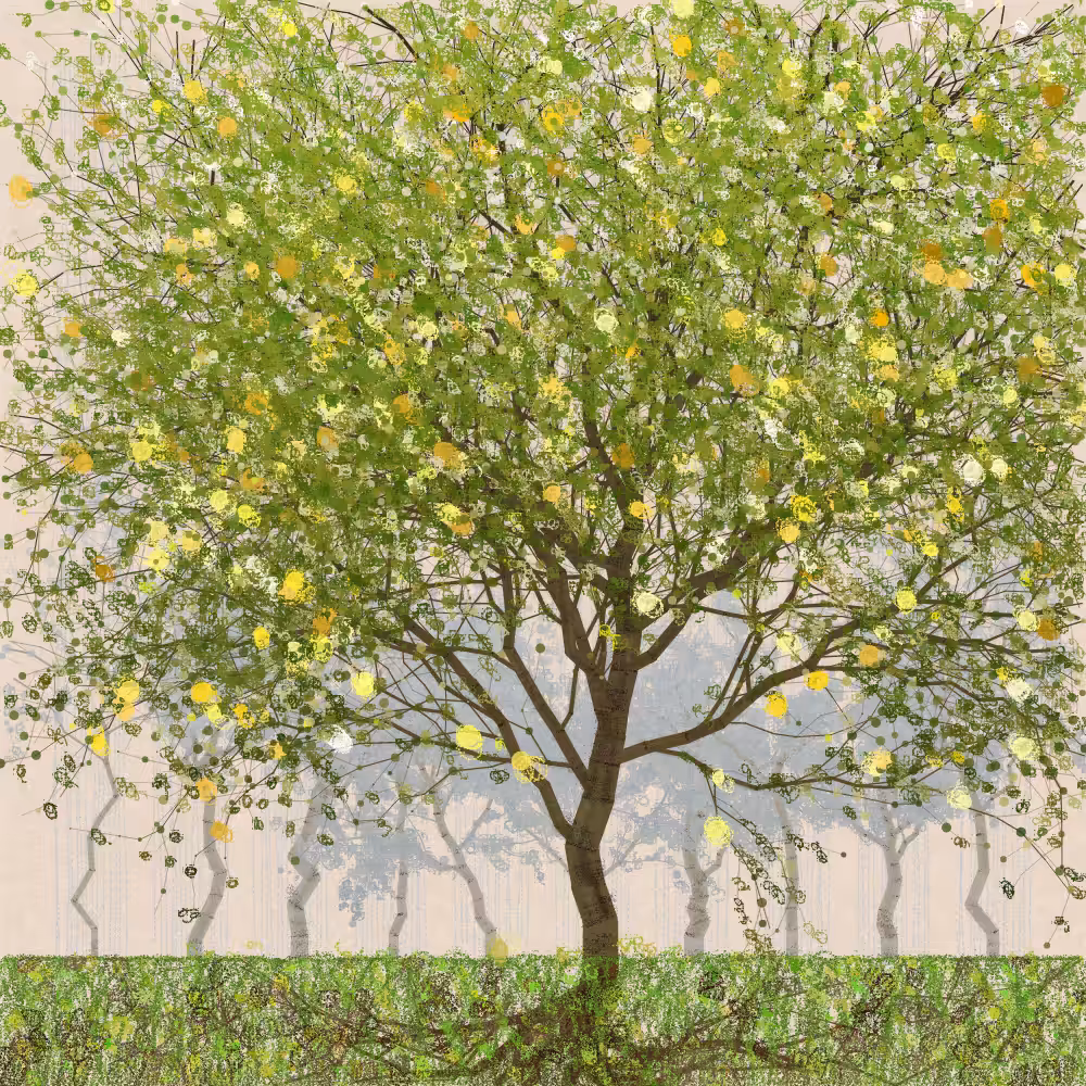 Orchard #137