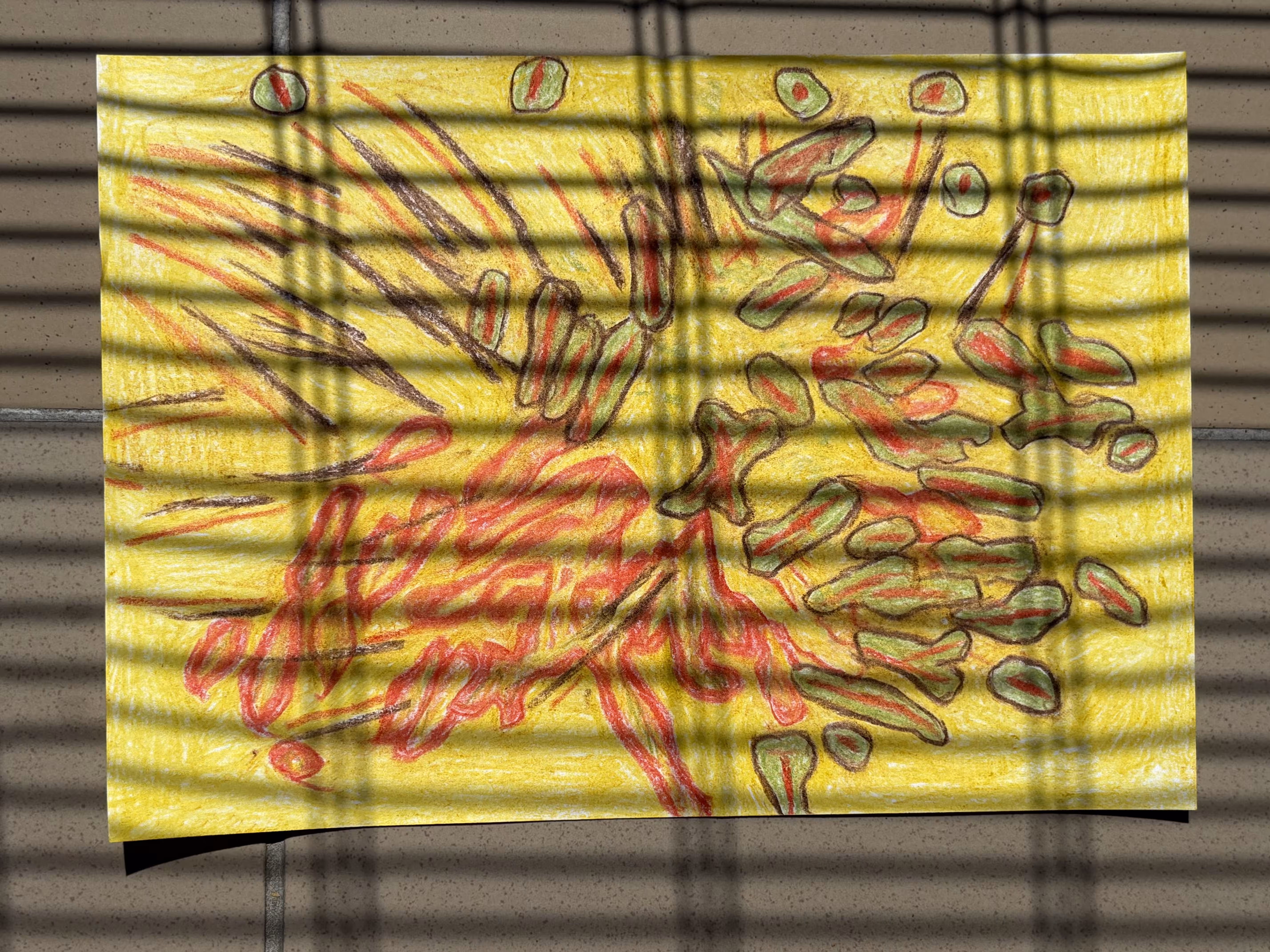 Fragmented Mind 4.6111227062025520