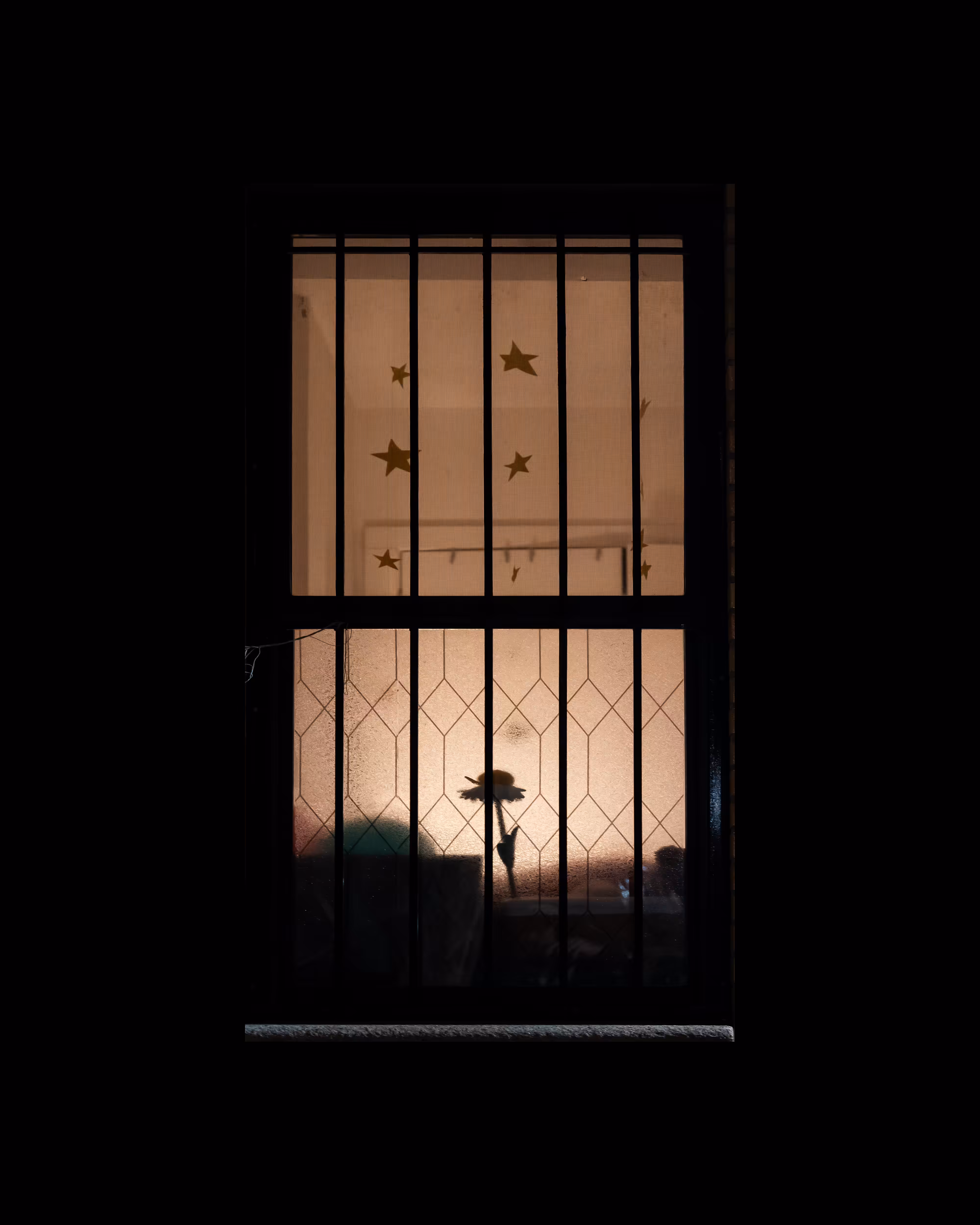 WINDOW 733