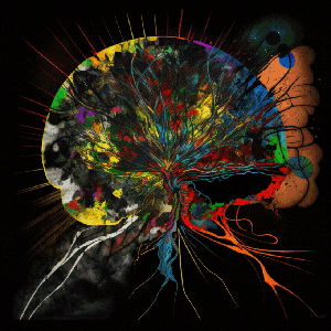 Neural Explosion