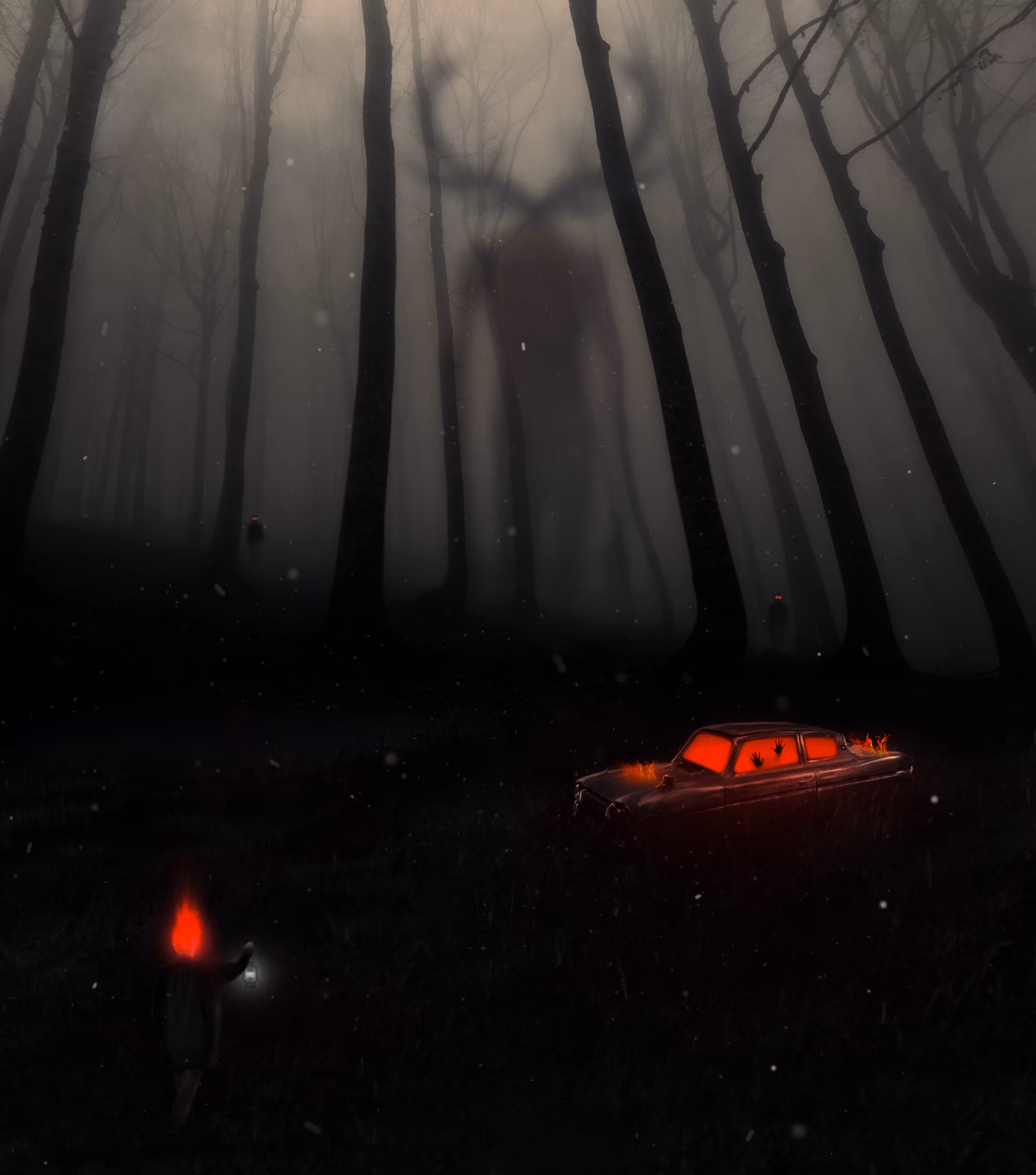where is the light?