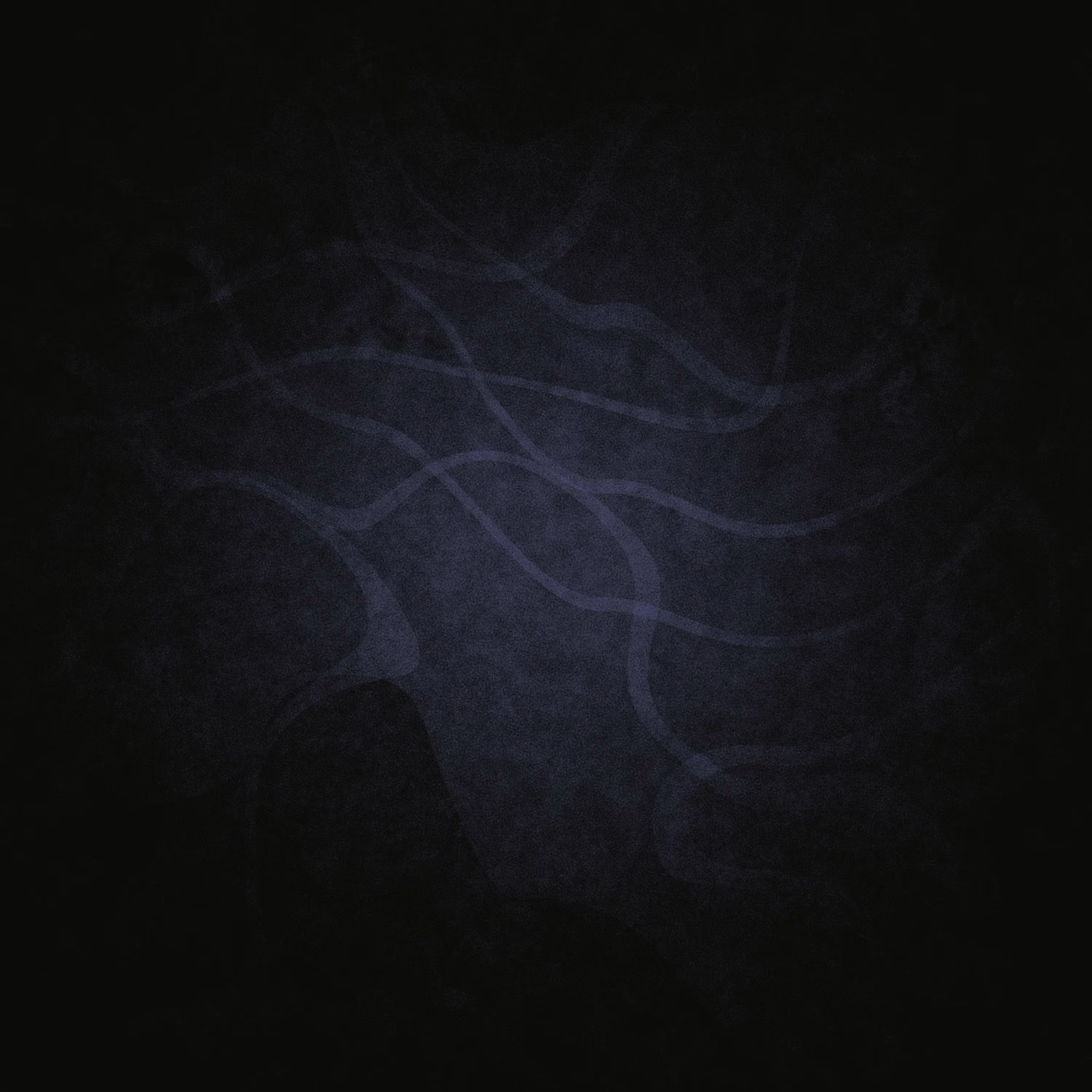 Beyond Dichotomy  #10