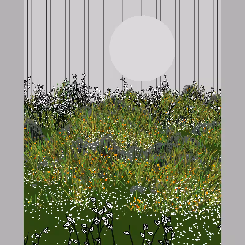 Contours #42