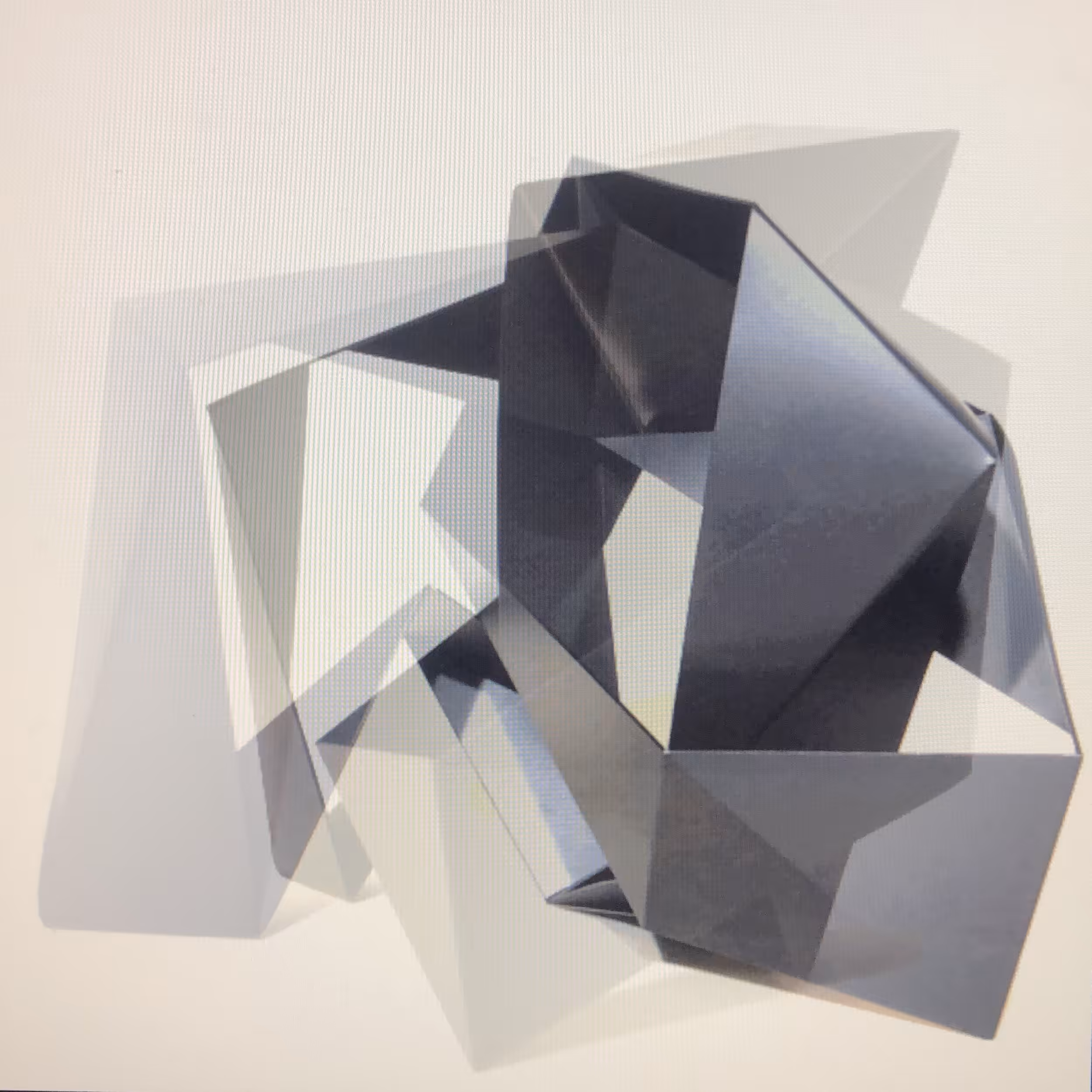 Construct disPlayed 4419