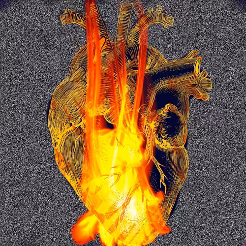 Fire in my Heart #03