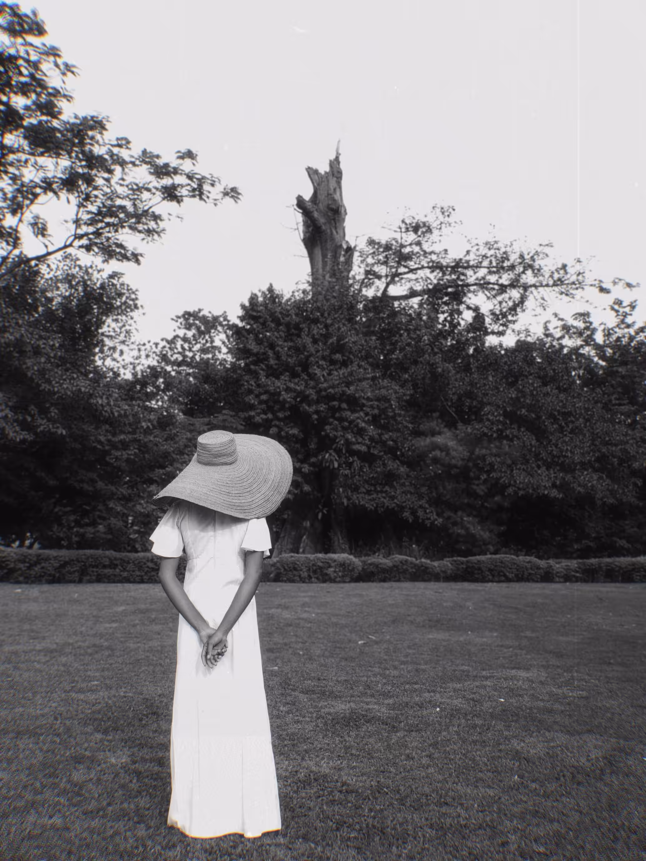 The Last Gaze