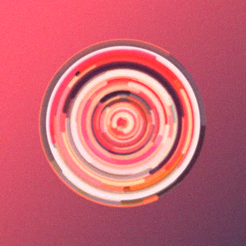 Wisp #509