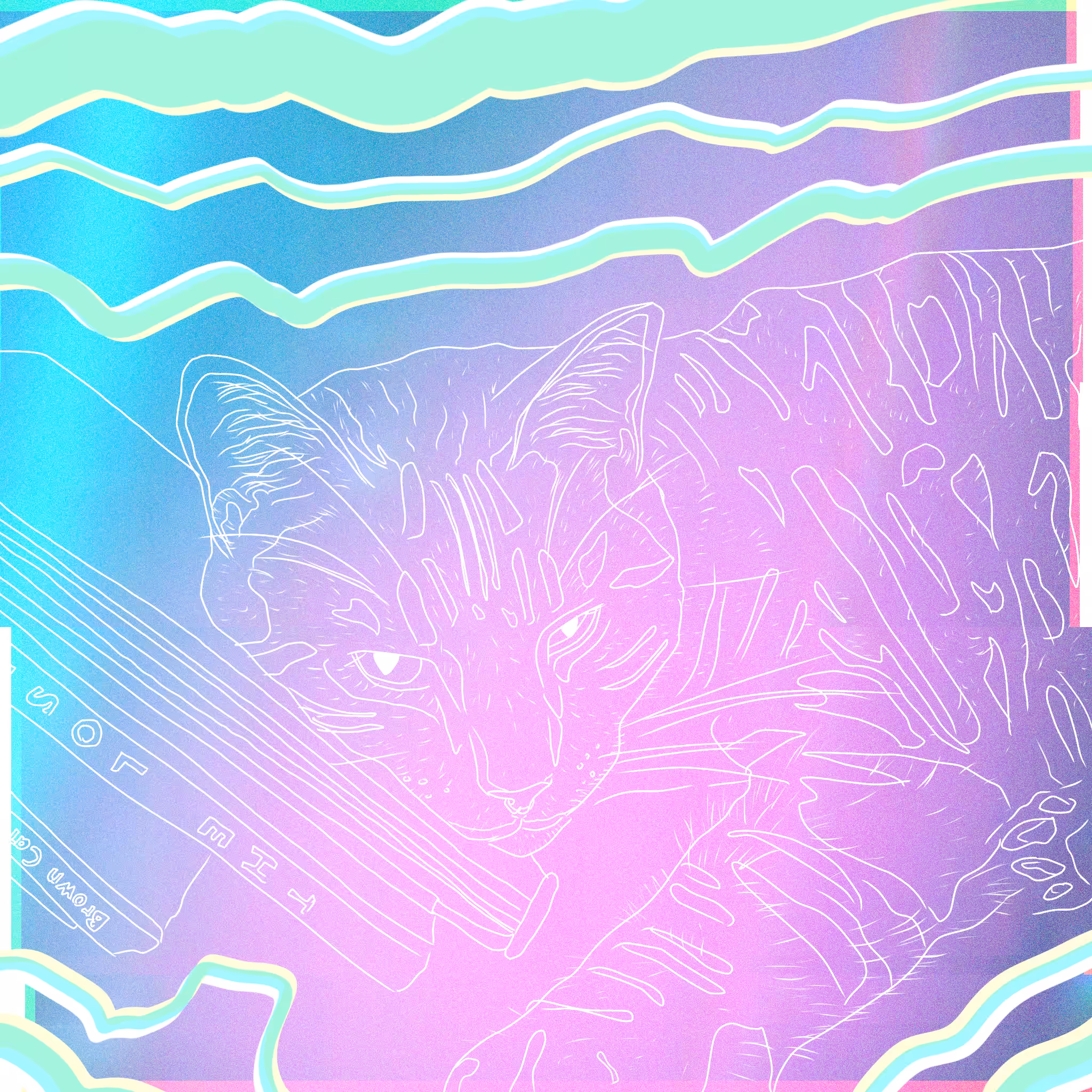 Pretty kitty