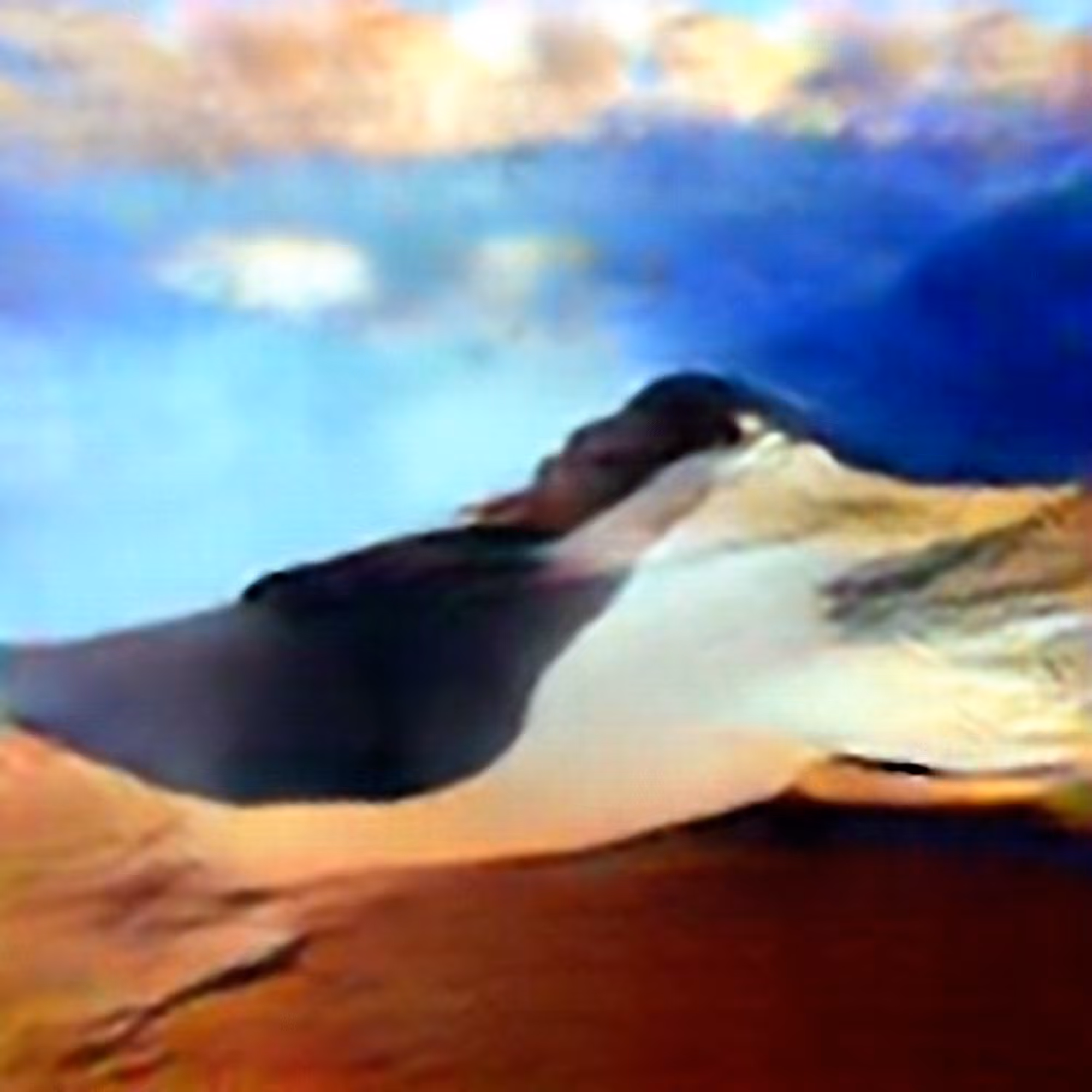 Evolved Hallucinations: Desertification #4 (Corpus: The Aftermath of the First Smart War)