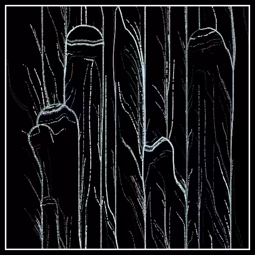 Observers' decline #15
