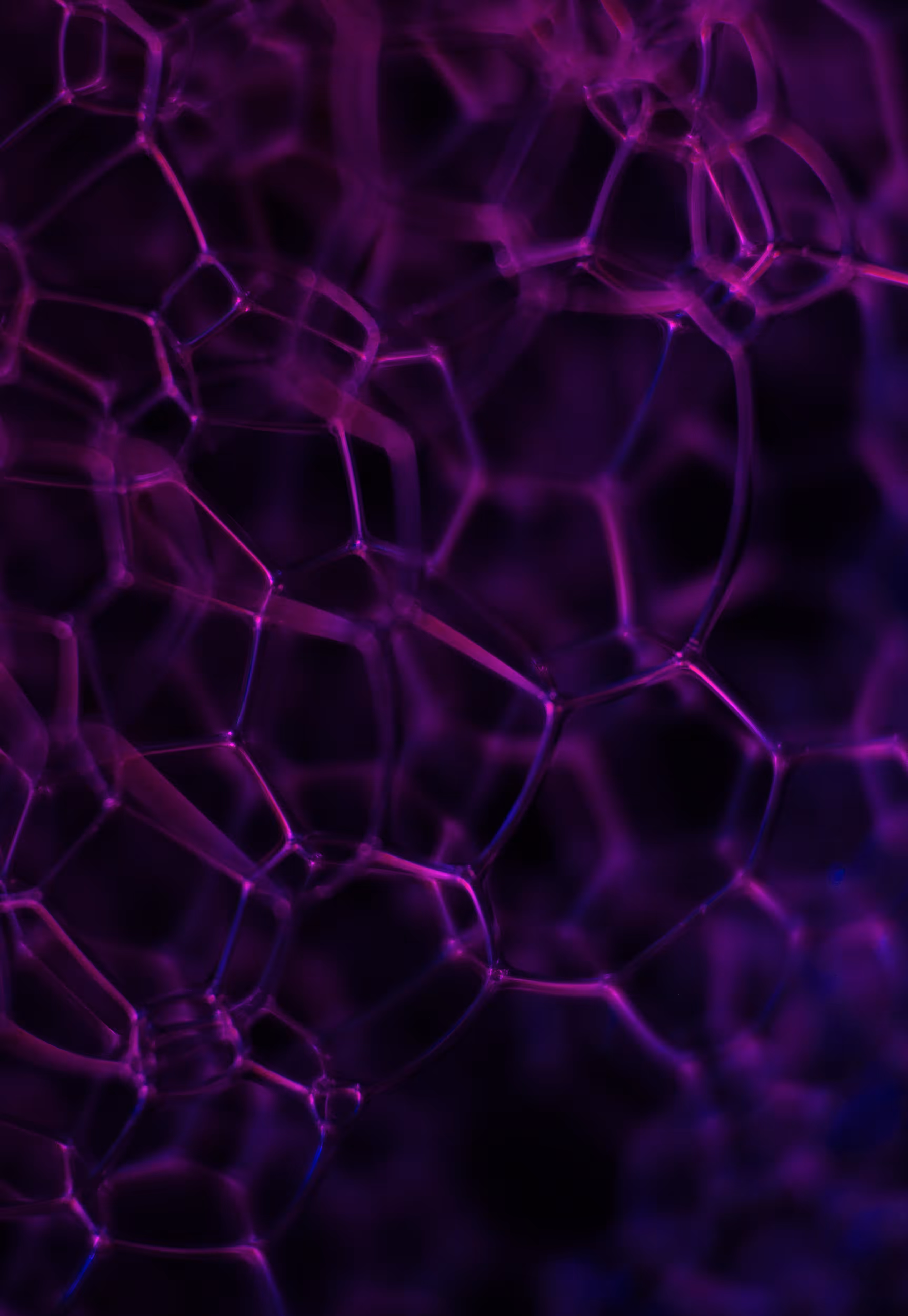 Abstract World of Soap Bubbles: #48 Bubbles