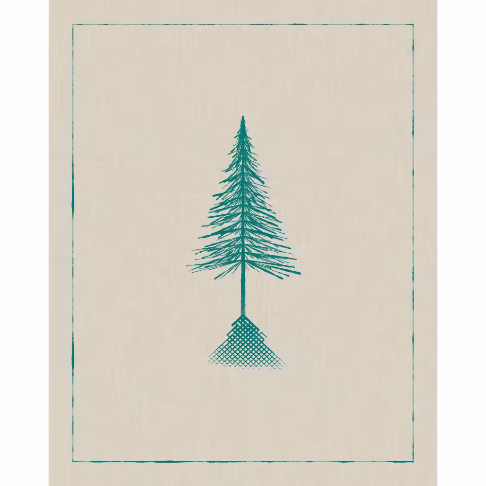 Roots #29
