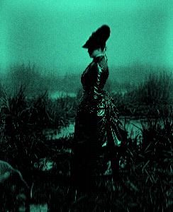 Untitled or The Woman and The Fox | From Plasma Series