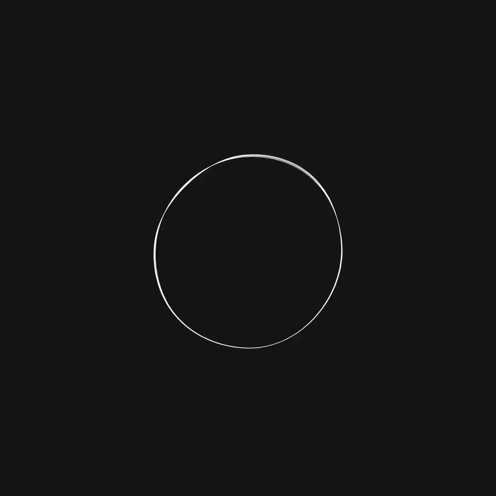 #2: Human circle