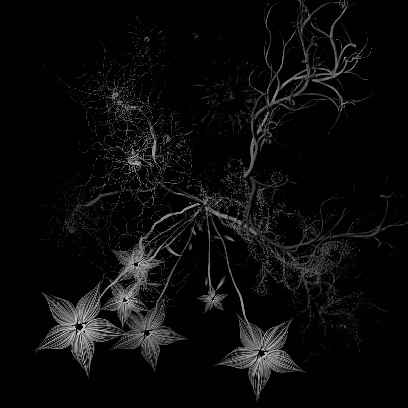 Botanical Ghosts #7